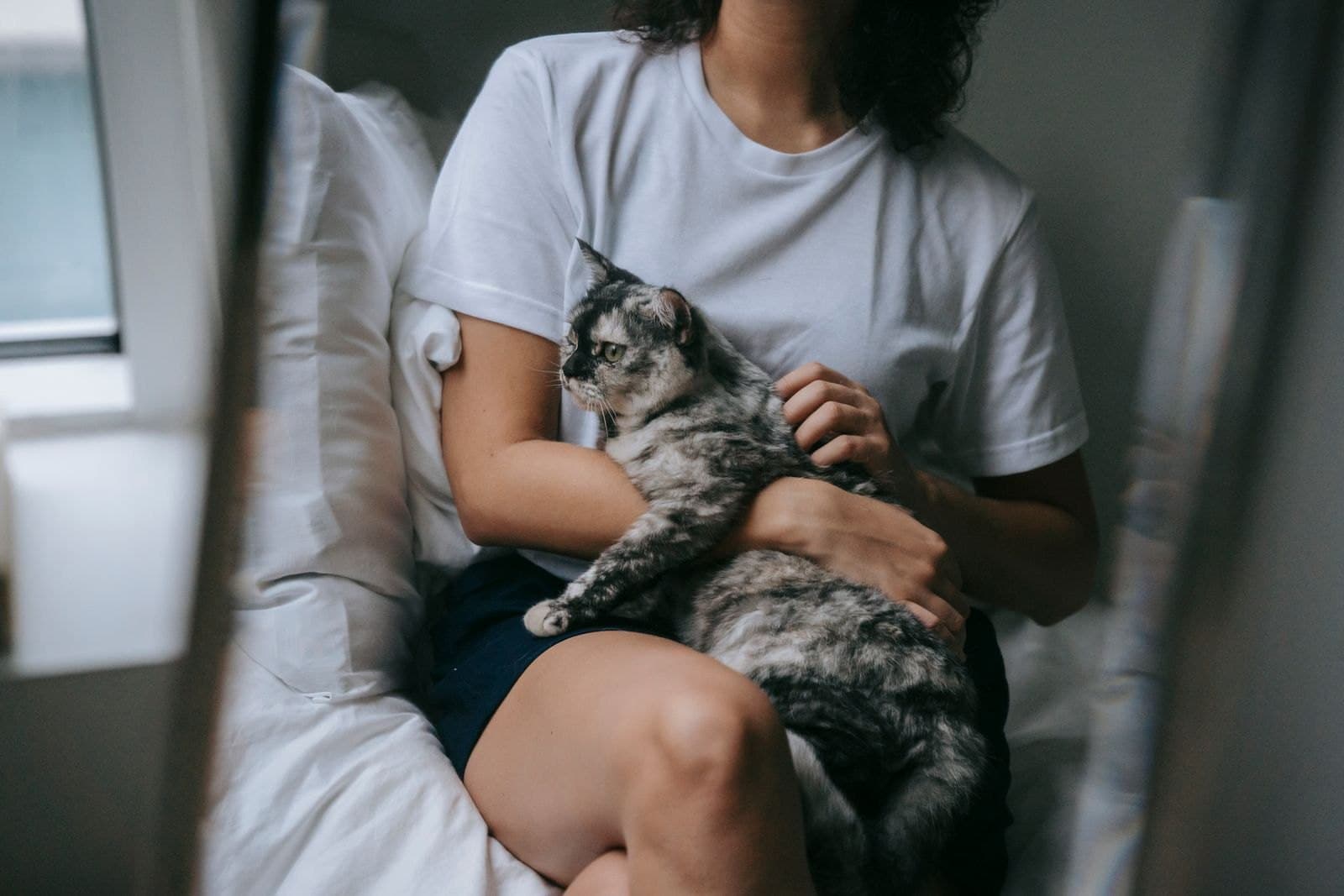Varför Biter Katten Mig Under Mysstunden?